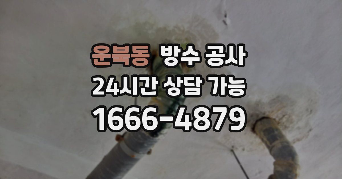 운북동 누수탐지