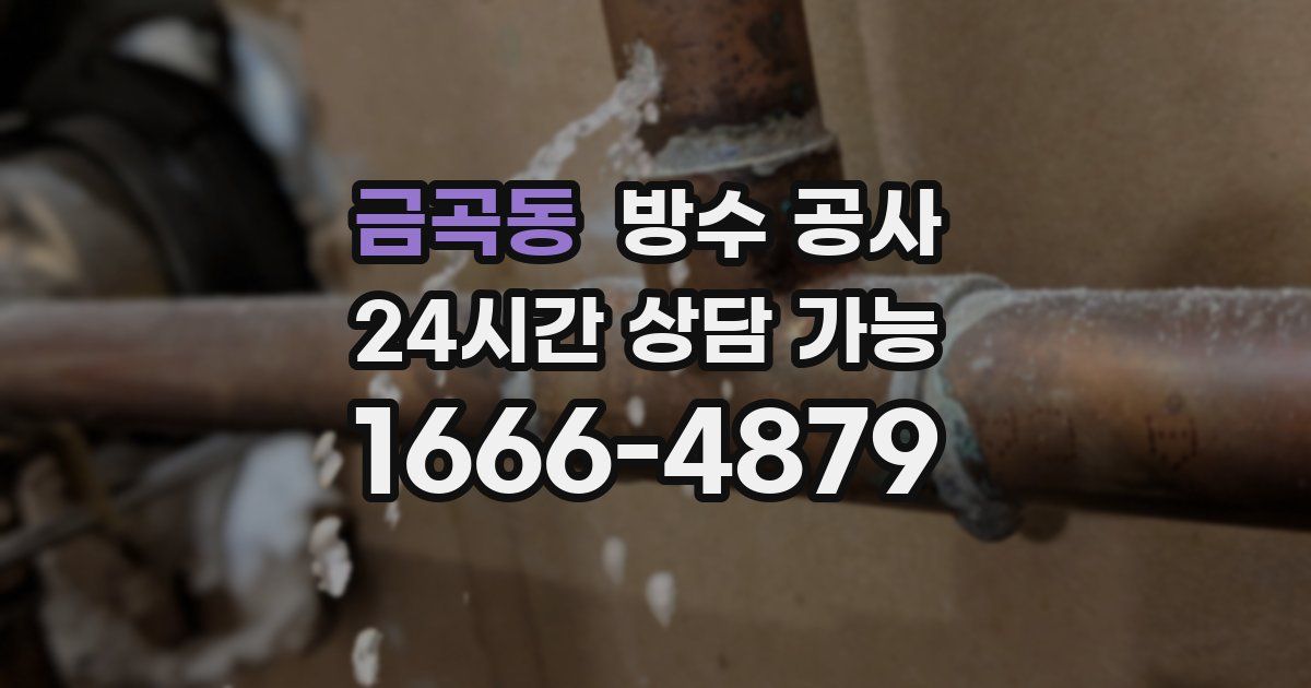 금곡동 누수탐지