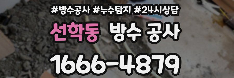 선학동 방수 공사