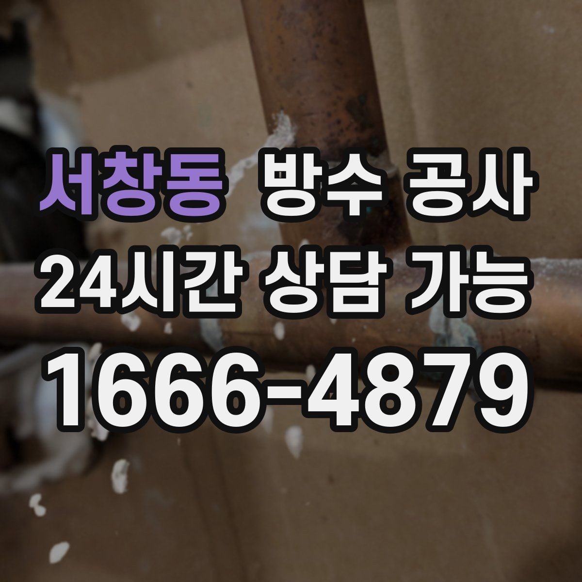 서창동 방수 공사 지하 벽면 곰팡이가 번질 때 대응