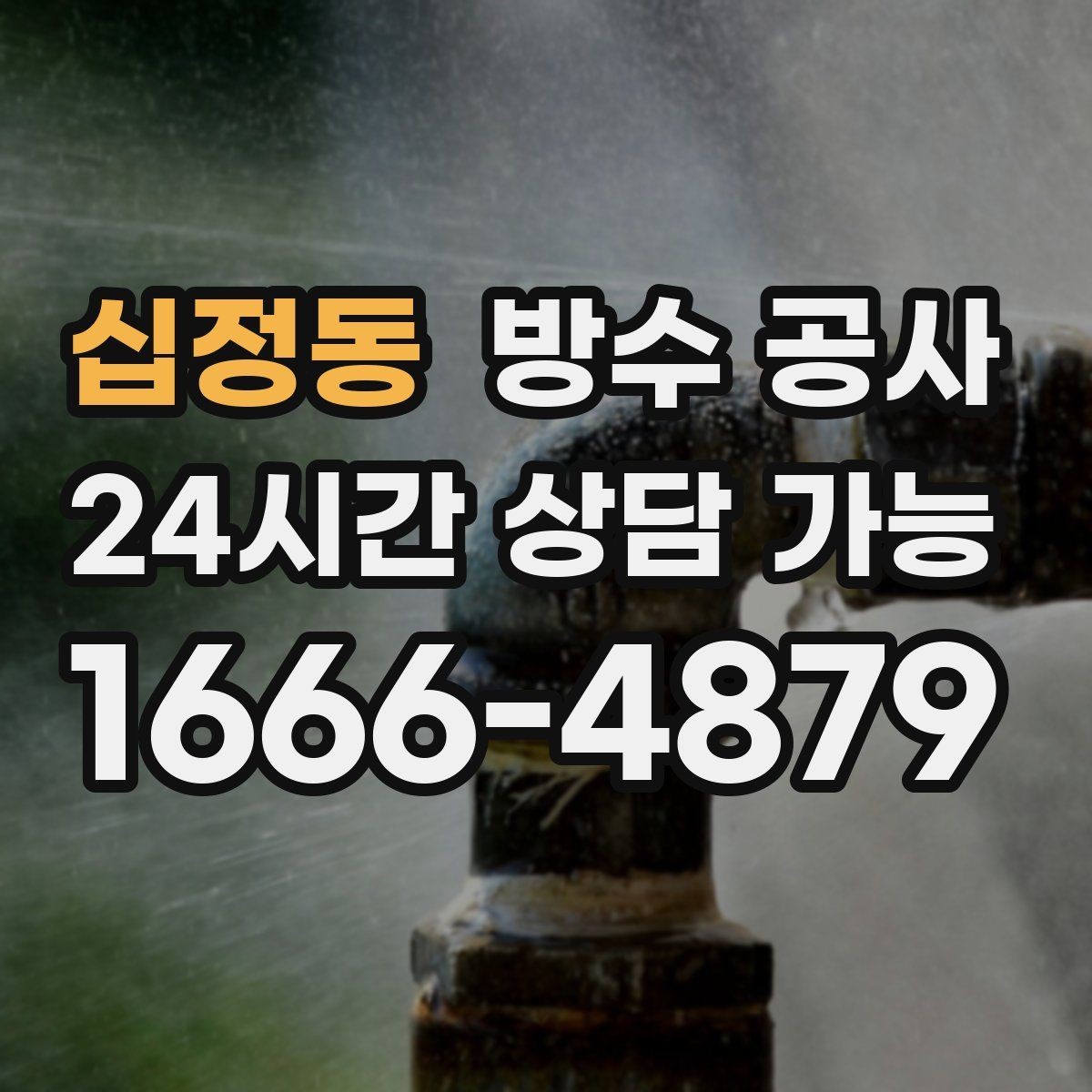 십정동 방수 공사 단독주택 외벽 누수 의심 증상 정리