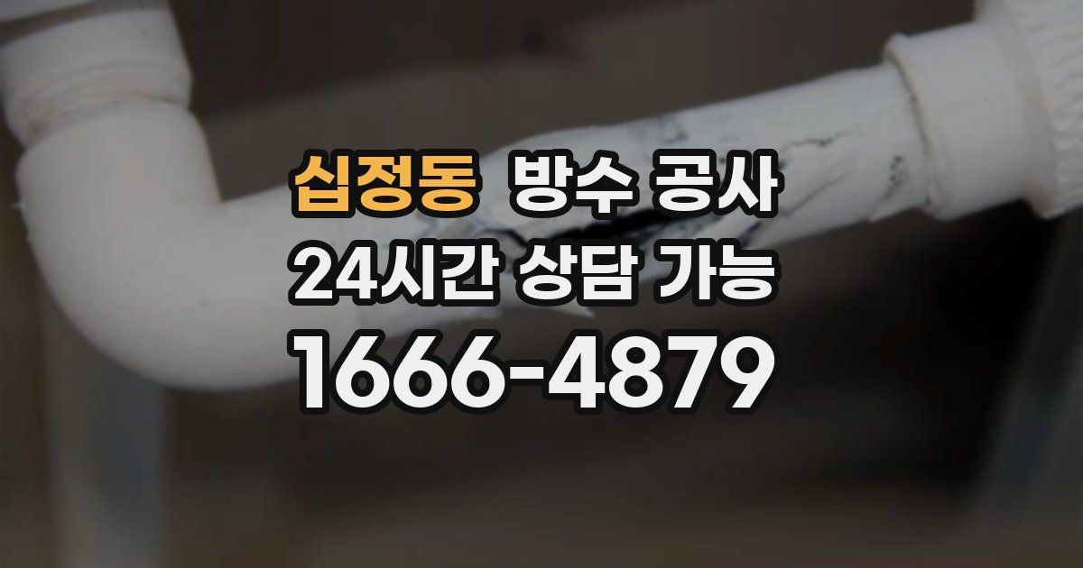 십정동 누수탐지