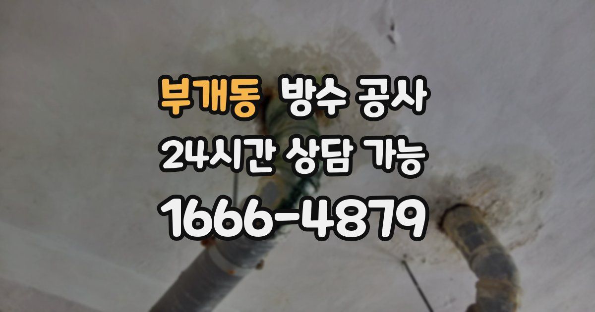 부개동 누수탐지