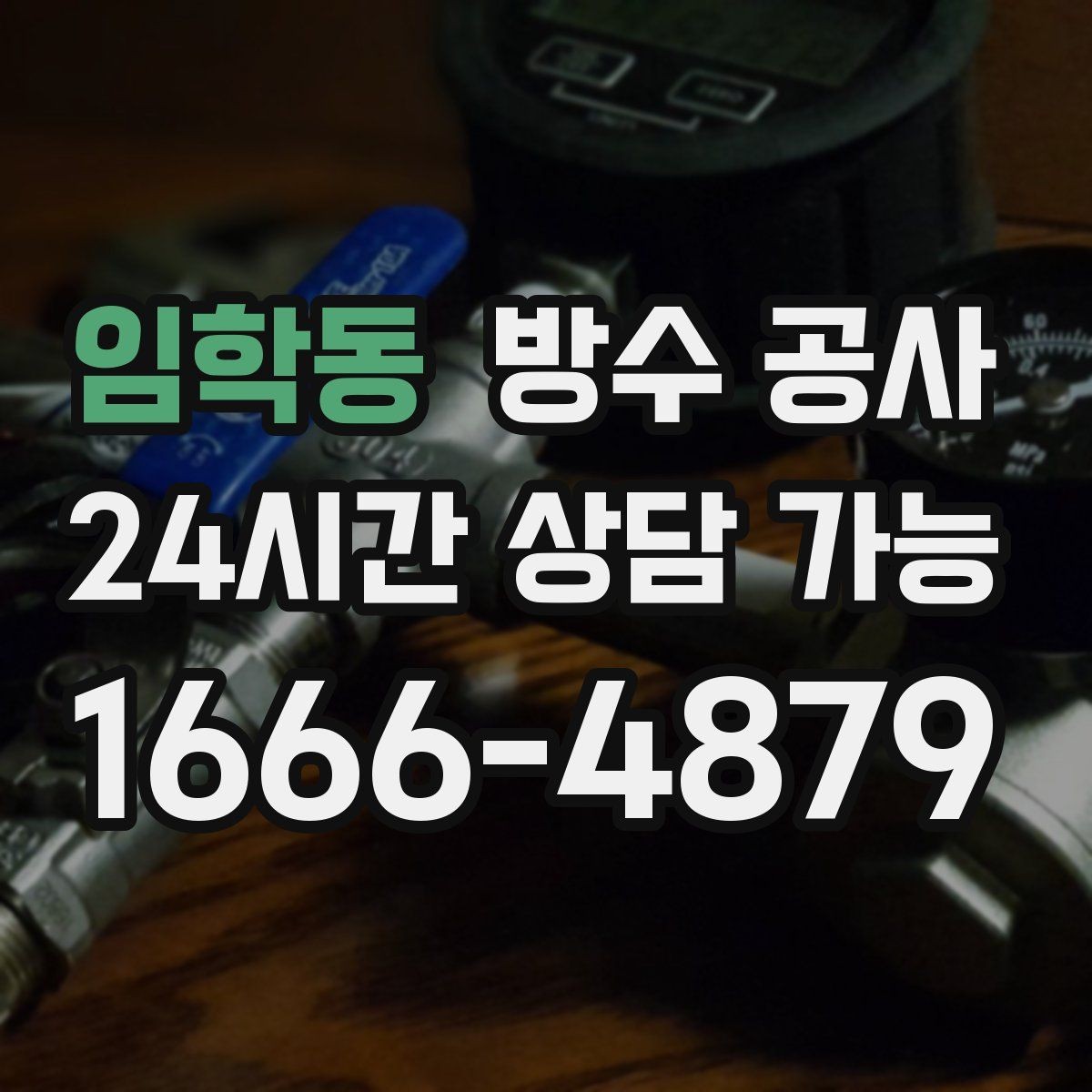 임학동 방수 공사 창고 곰팡이가 생길 때 원인 점검