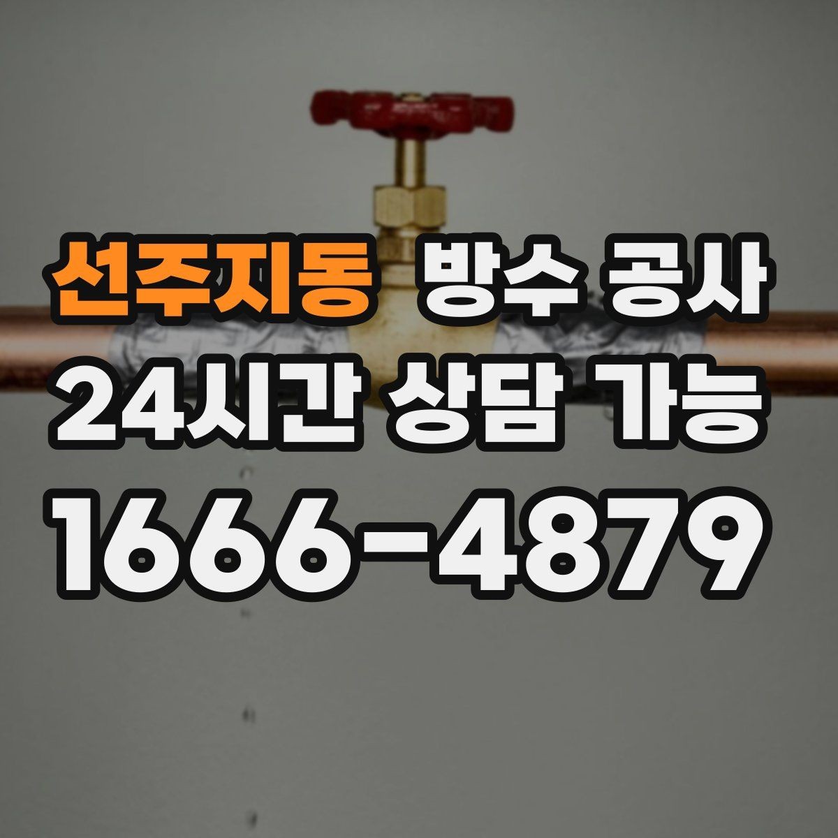 선주지동 방수 공사 단독주택 외벽 누수 의심 증상 정리