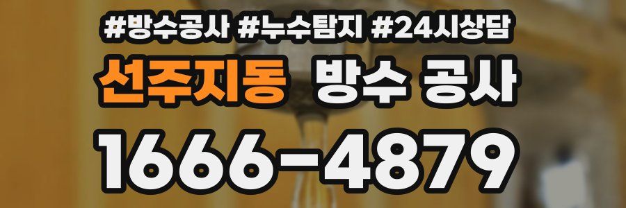 선주지동 방수 공사