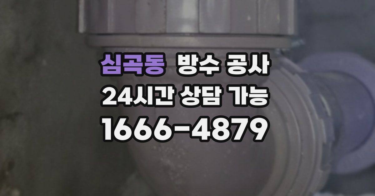 심곡동 누수탐지