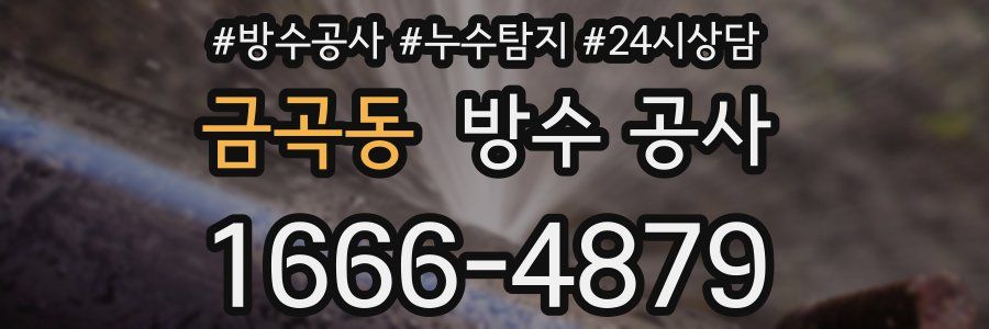 금곡동 방수 공사