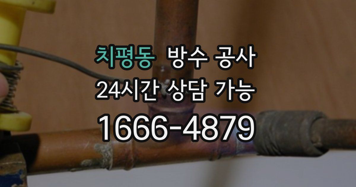 치평동 누수탐지