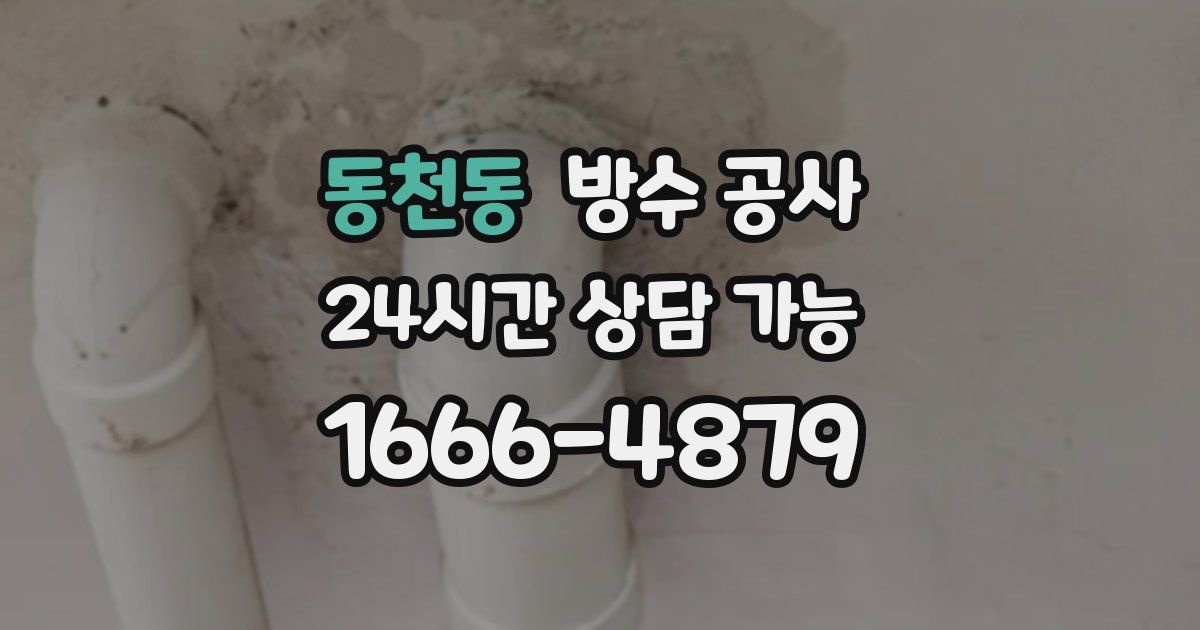 동천동 누수탐지