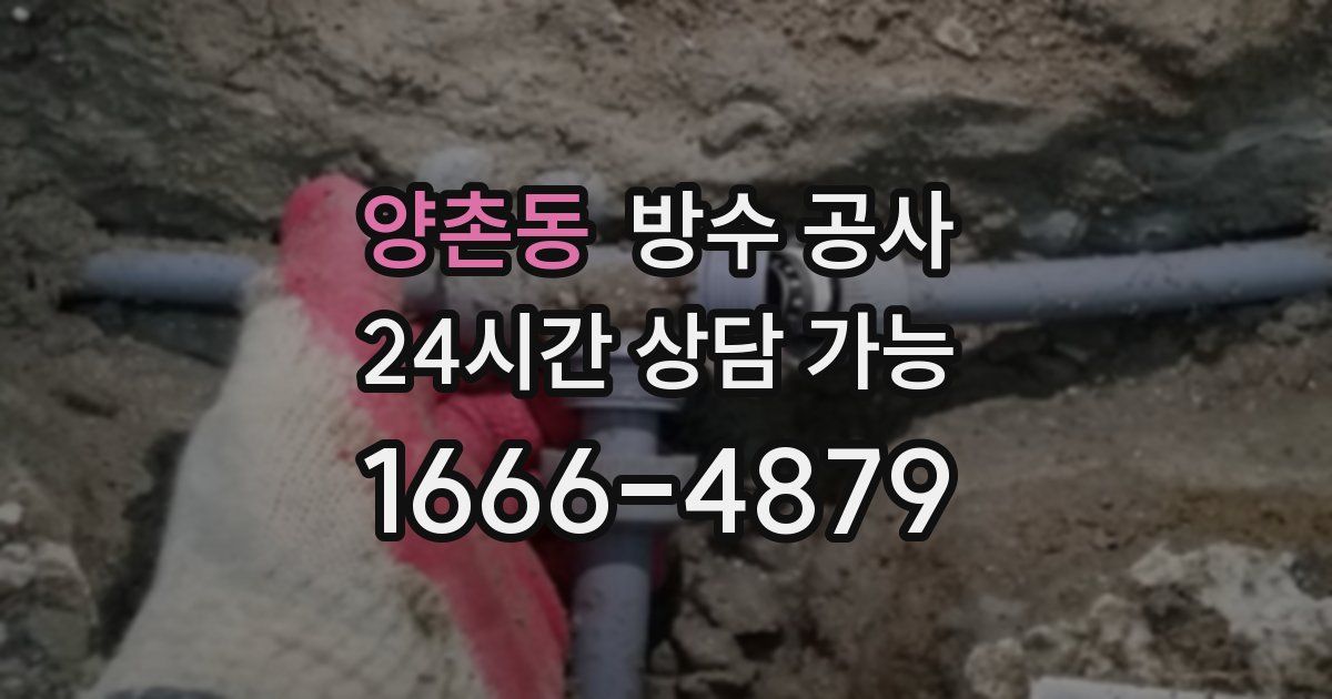 양촌동 누수탐지