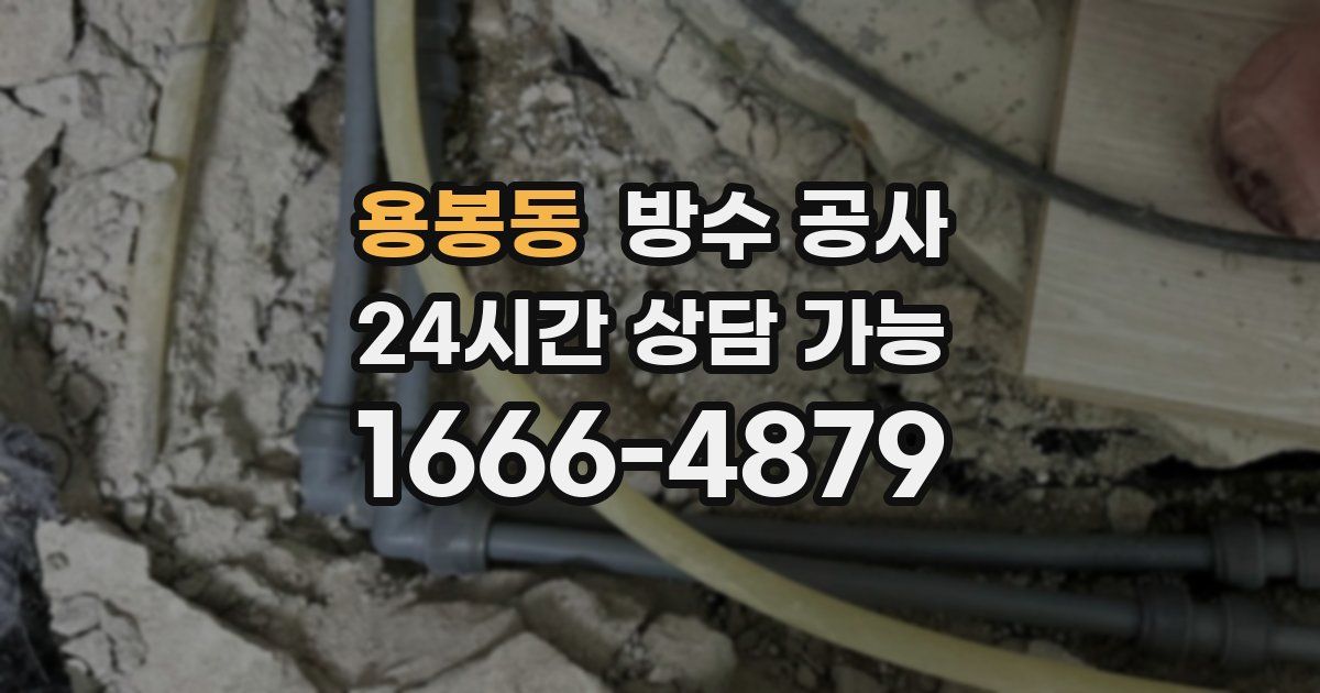 용봉동 누수탐지