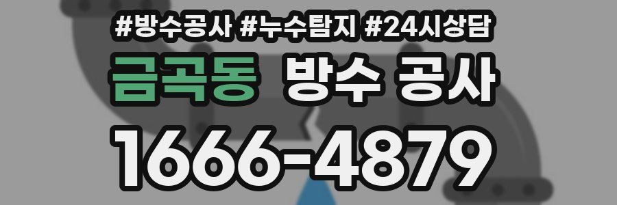 금곡동 방수 공사