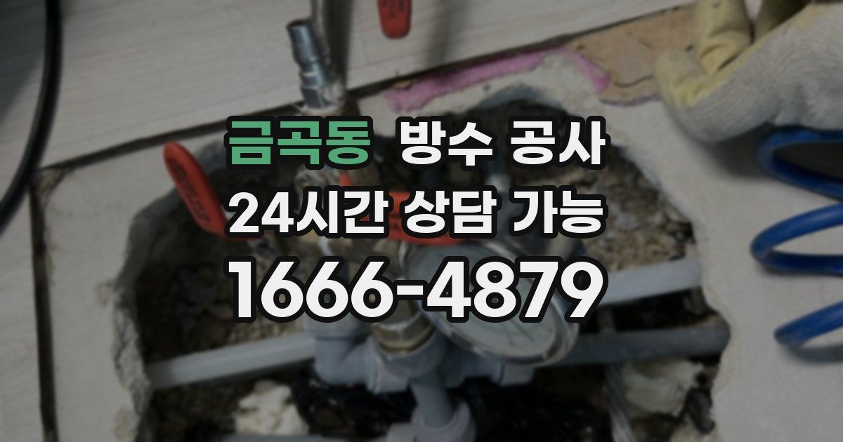 금곡동 누수탐지