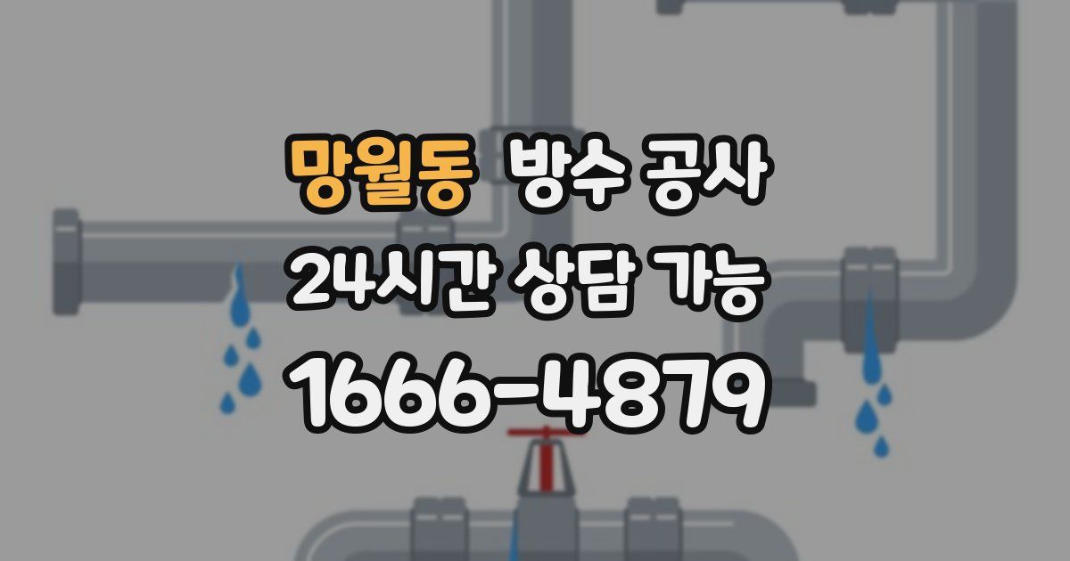 망월동 누수탐지