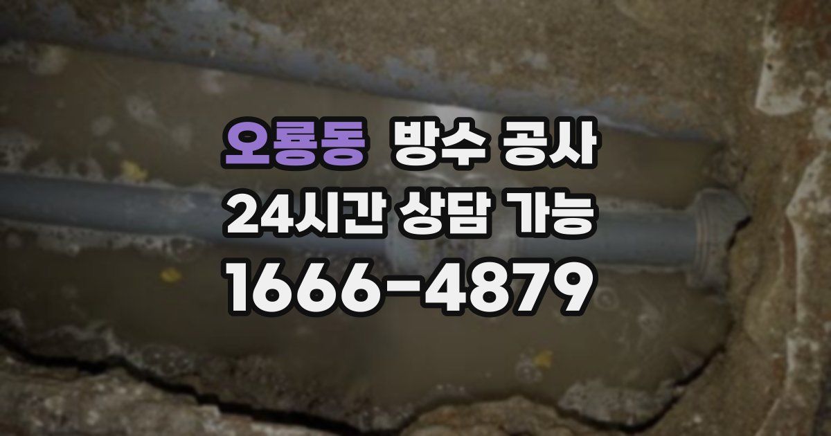 오룡동 누수탐지