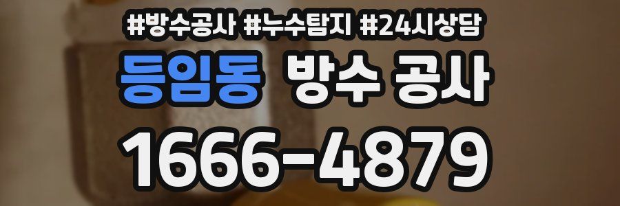 등임동 방수 공사