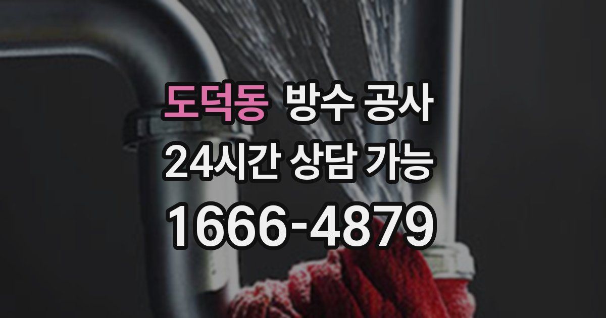 도덕동 누수탐지