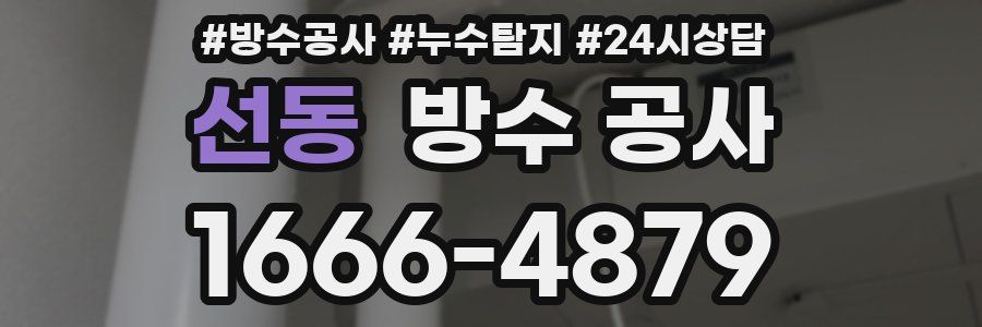 선동 방수 공사