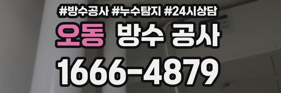 오동 방수 공사