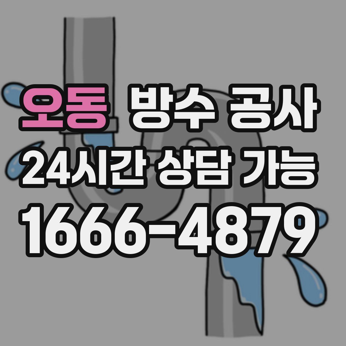 오동 방수
