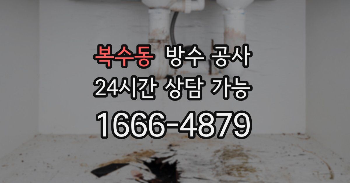 복수동 누수탐지