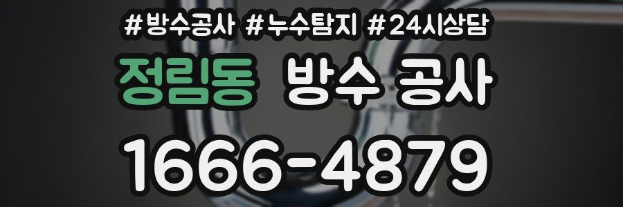 정림동 방수 공사