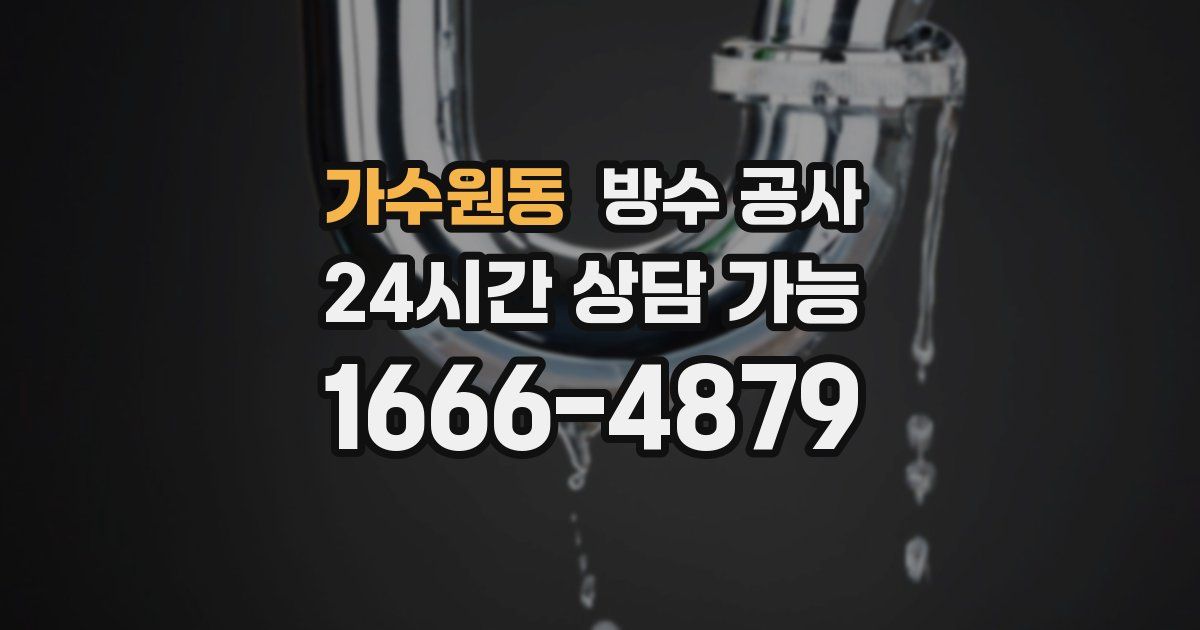가수원동 누수탐지
