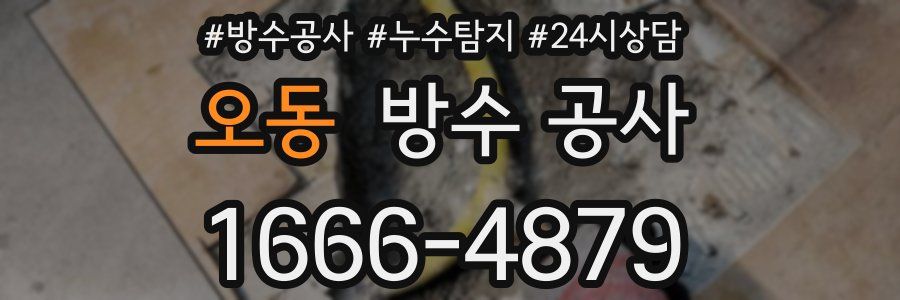 오동 방수 공사