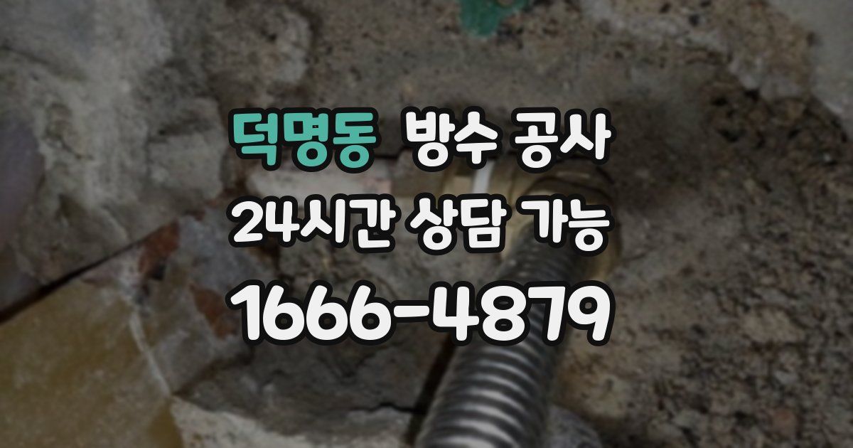 덕명동 누수탐지