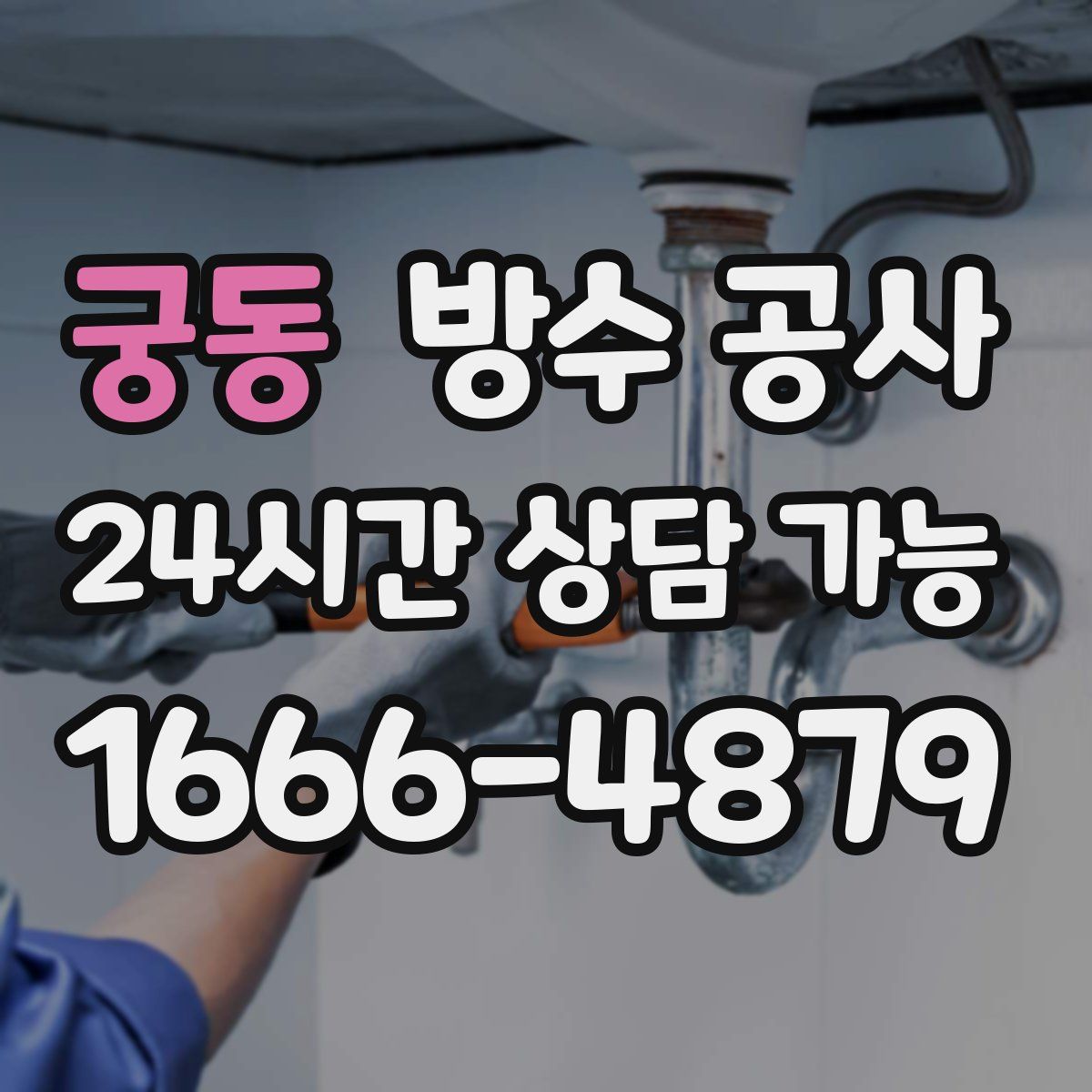 궁동 방수