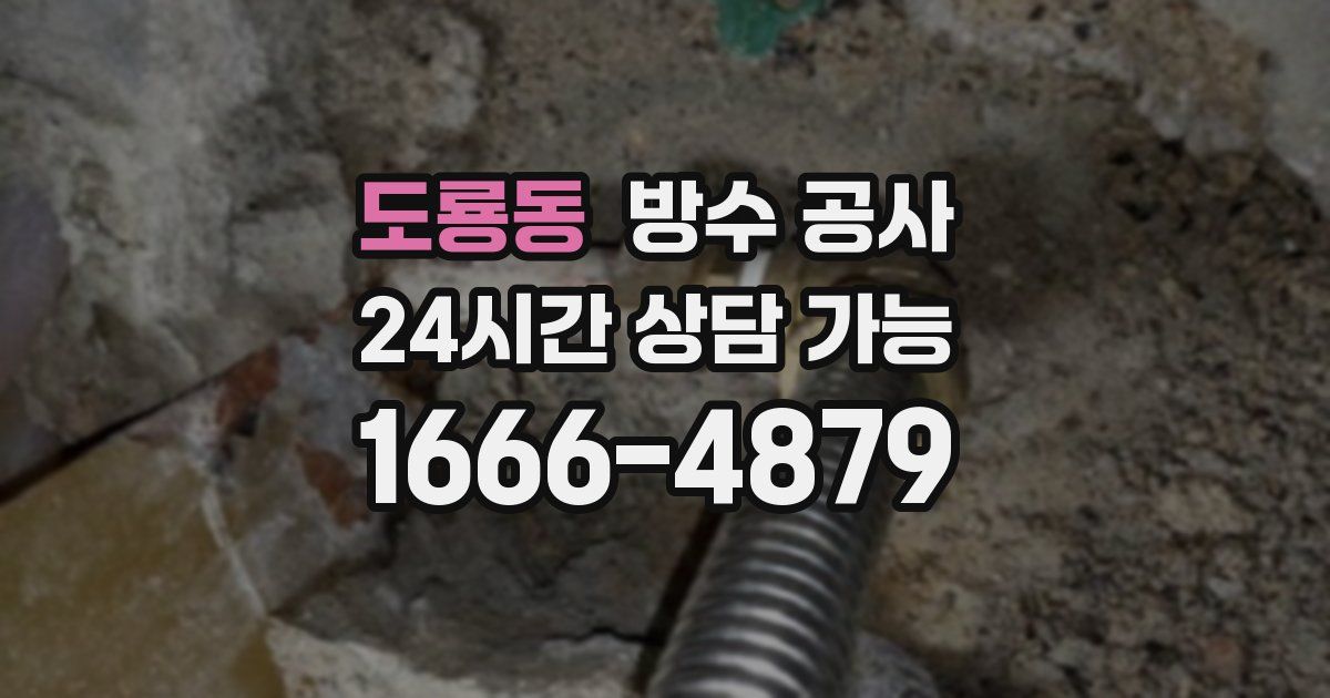 도룡동 누수탐지