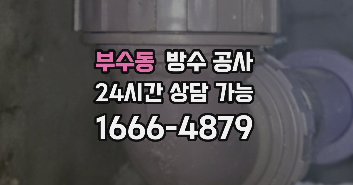 부수동 누수탐지