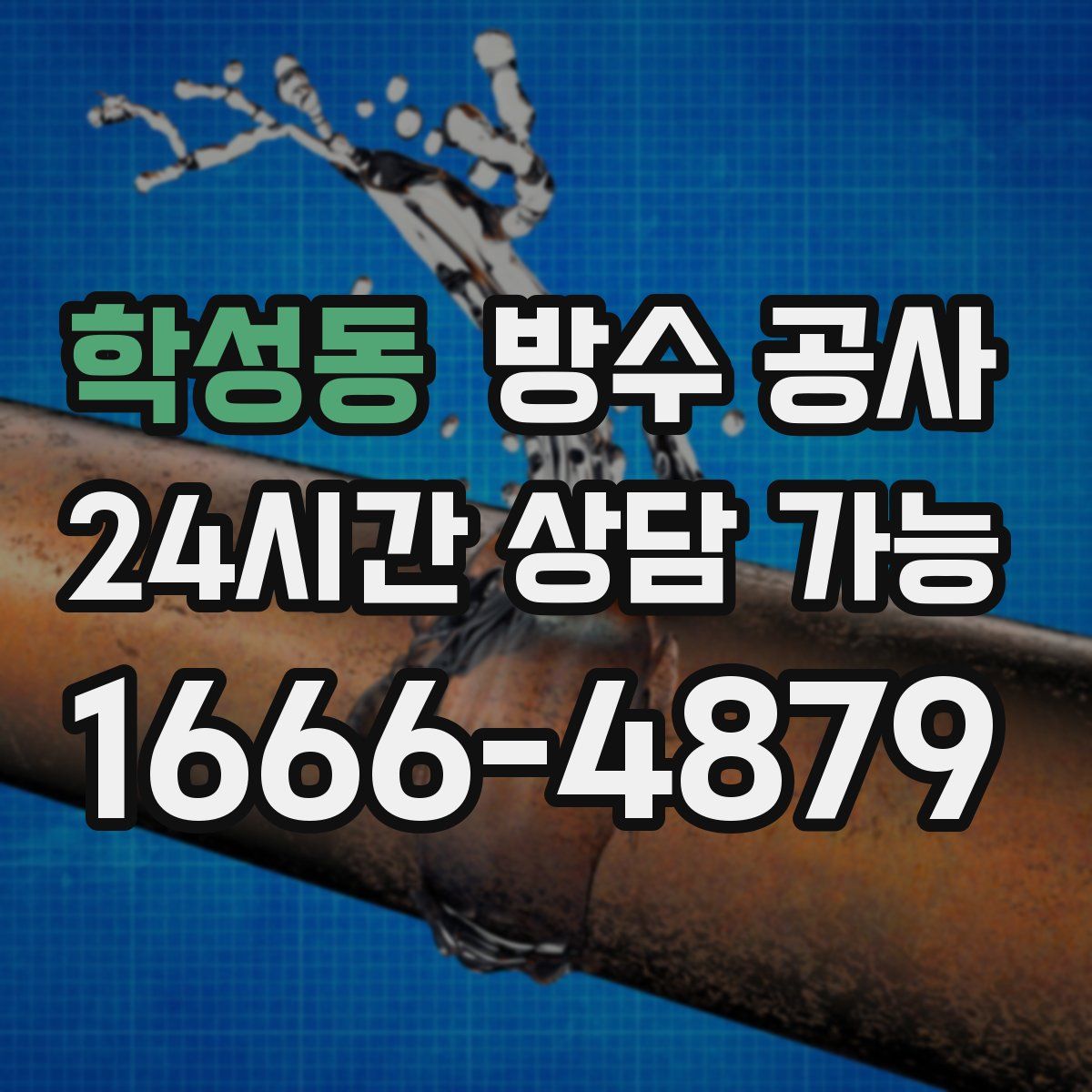 학성동 방수
