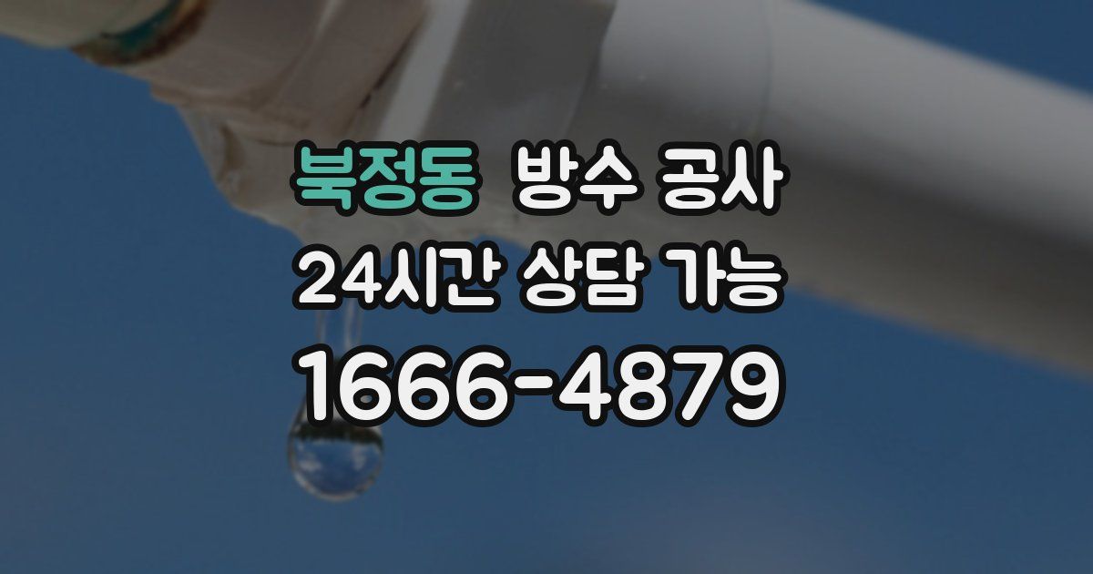 북정동 누수탐지