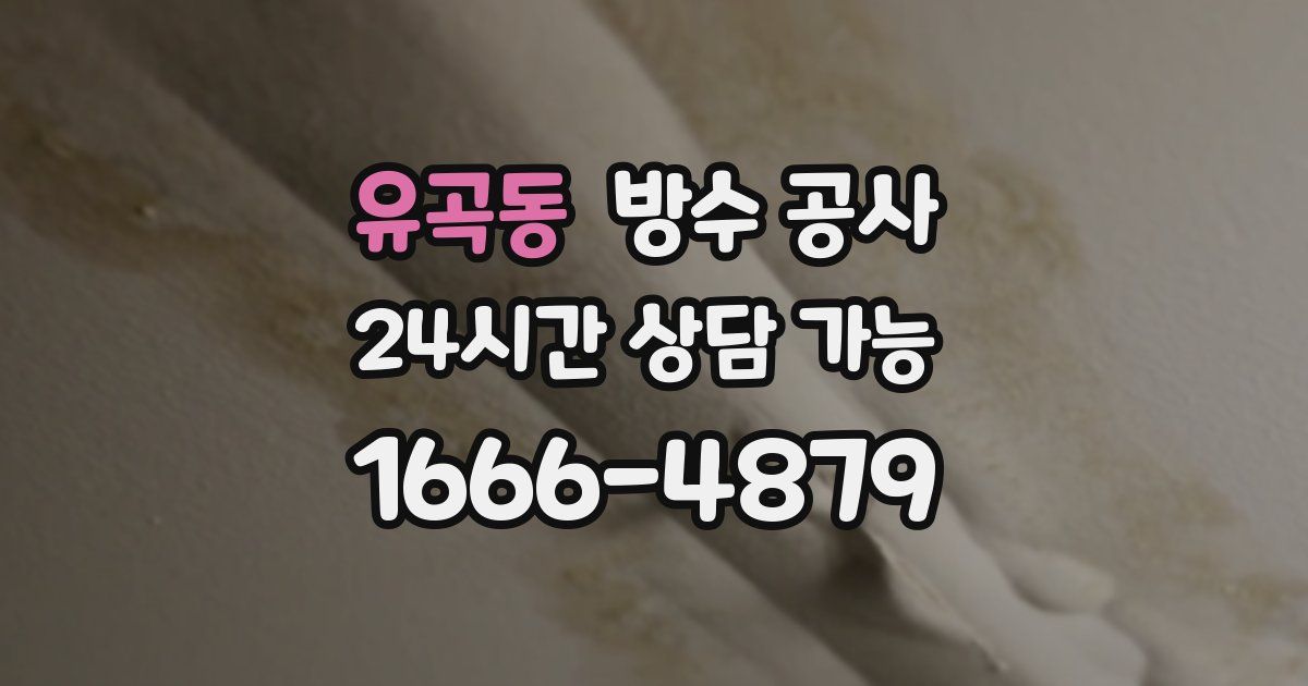 유곡동 누수탐지