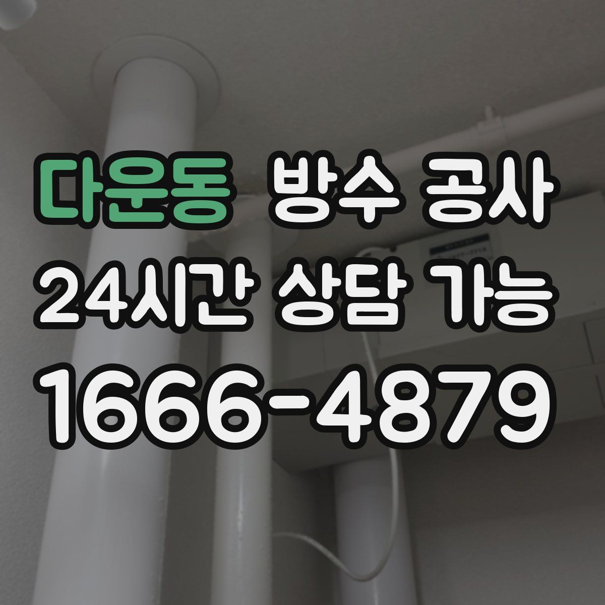 다운동 방수