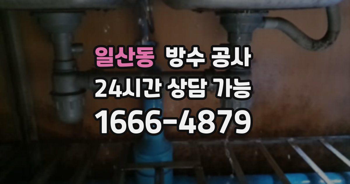 일산동 누수탐지