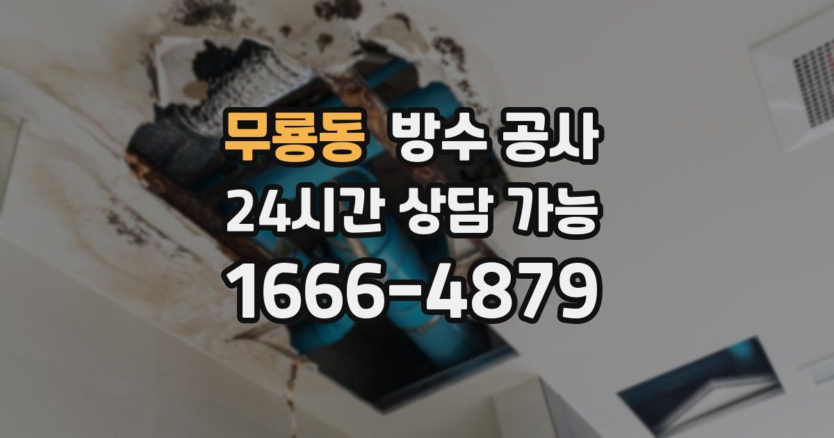 무룡동 누수탐지