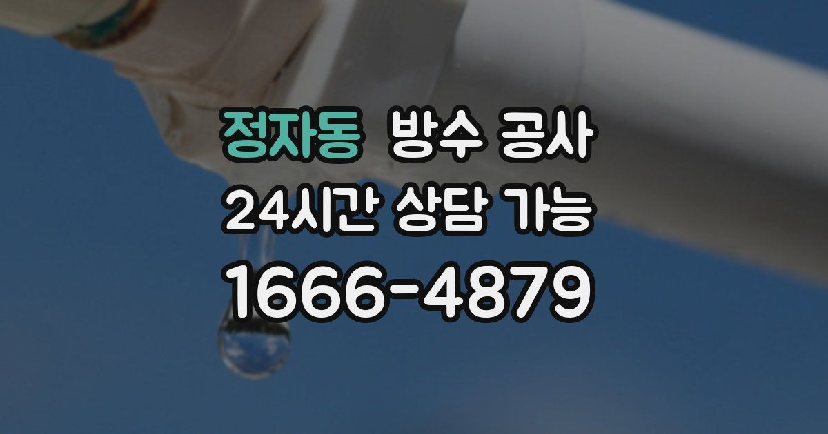 정자동 누수탐지