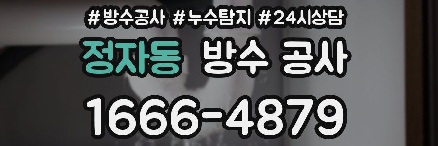 정자동 방수 공사