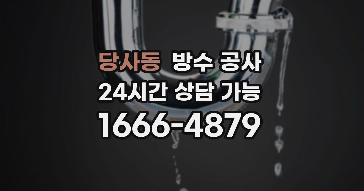 당사동 누수탐지