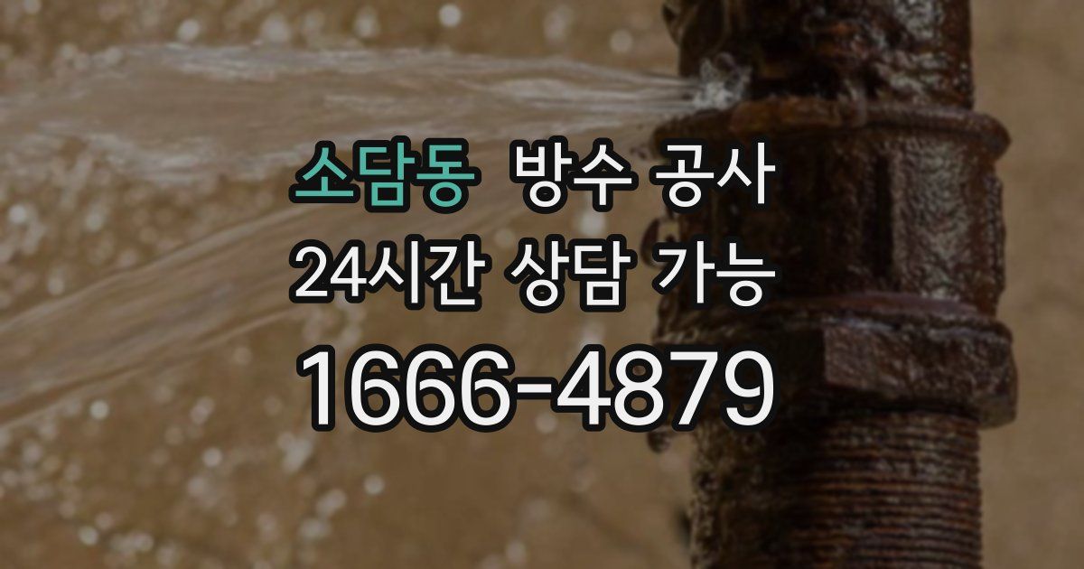 소담동 누수탐지
