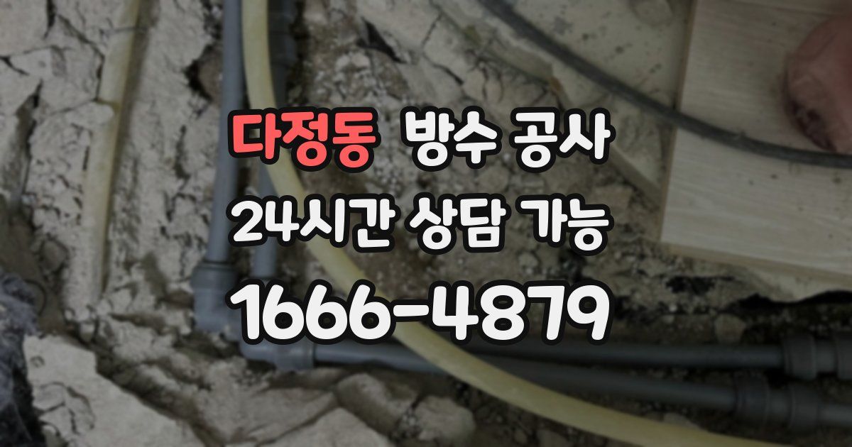 다정동 누수탐지