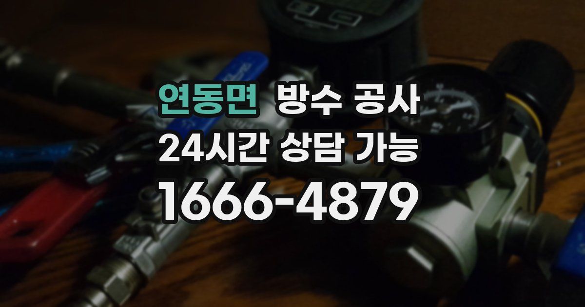 연동면 누수탐지