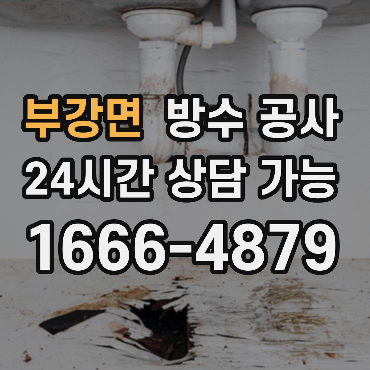 부강면 방수