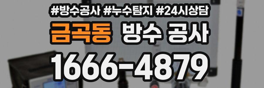 금곡동 방수 공사