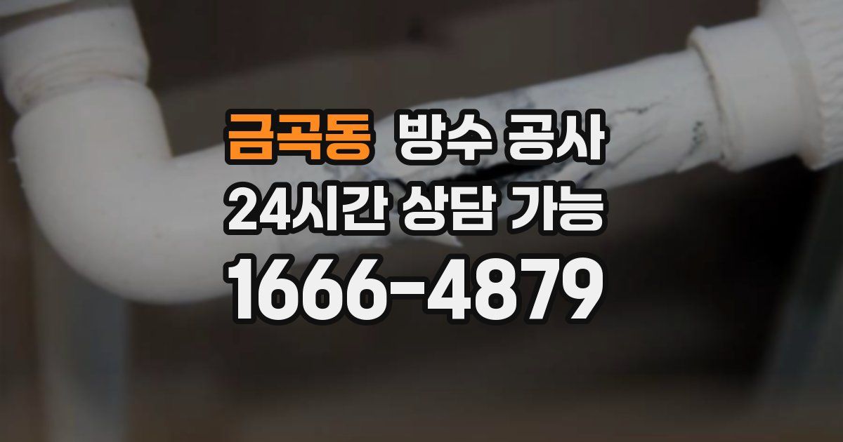 금곡동 누수탐지