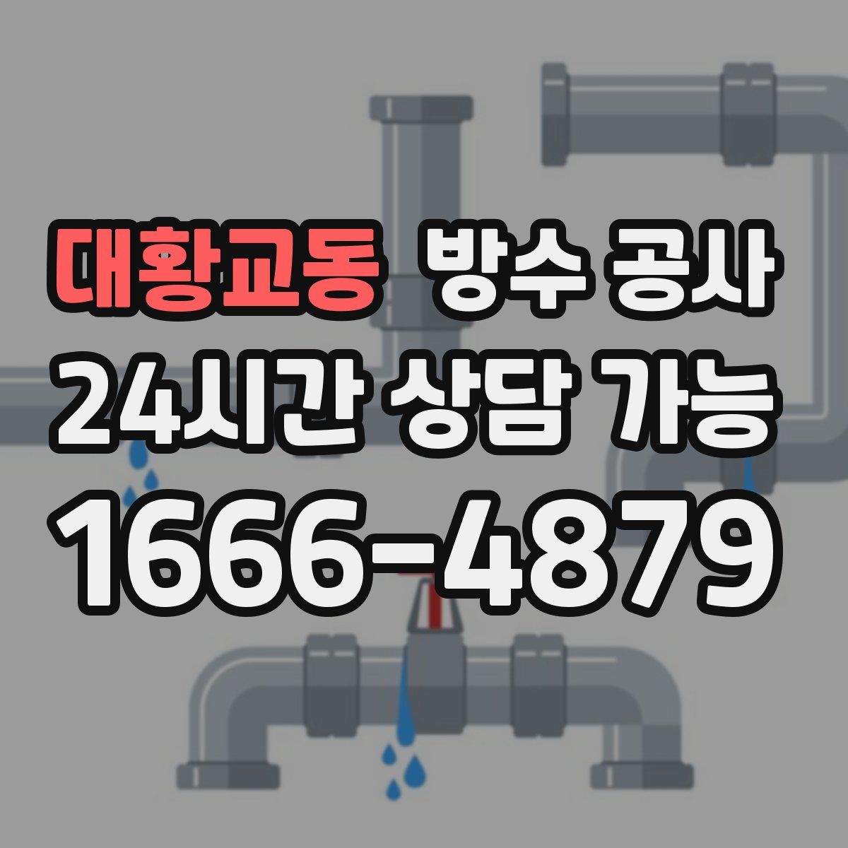 대황교동 방수