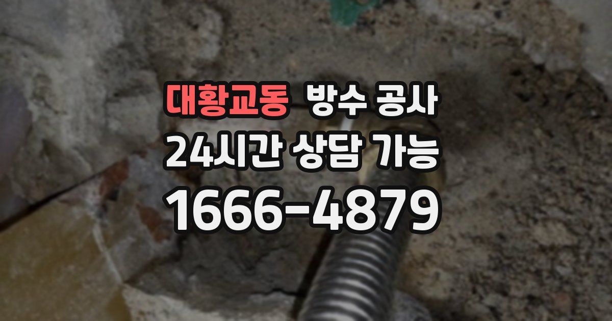 대황교동 누수탐지